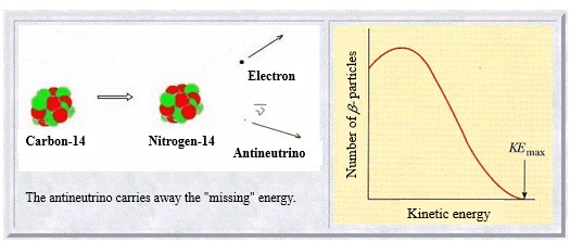 Carbon to Nitrogen Transformation