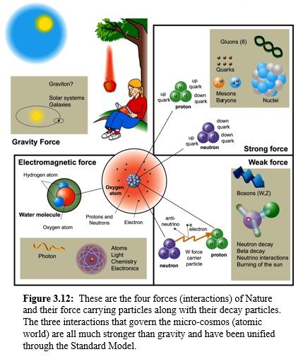 The four forces illustrated