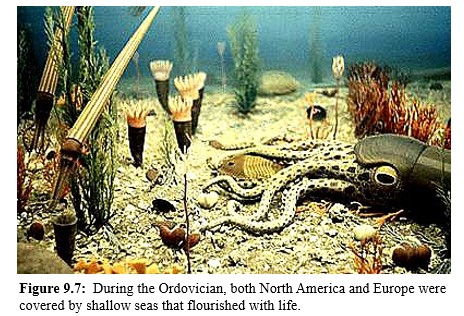 Ordovician life forms